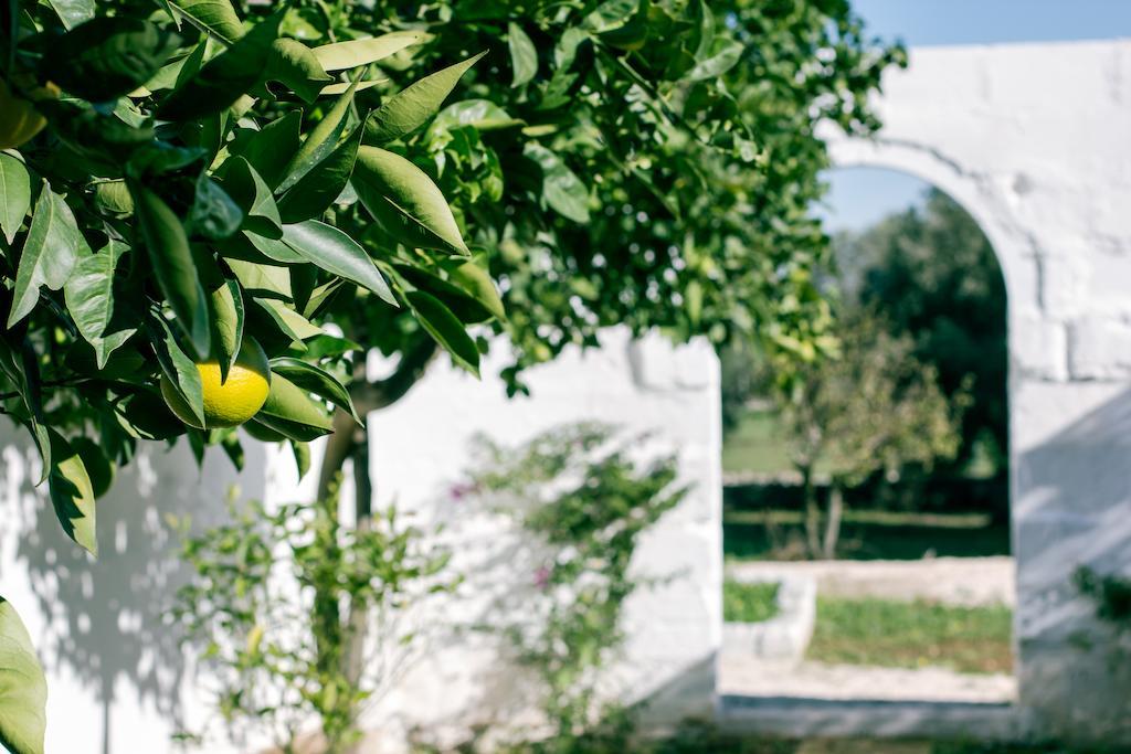 Dimora Antonella - Ostuni 4 Seasons - Splendid Villa Depandance With Private Swimming Pool Exterior photo